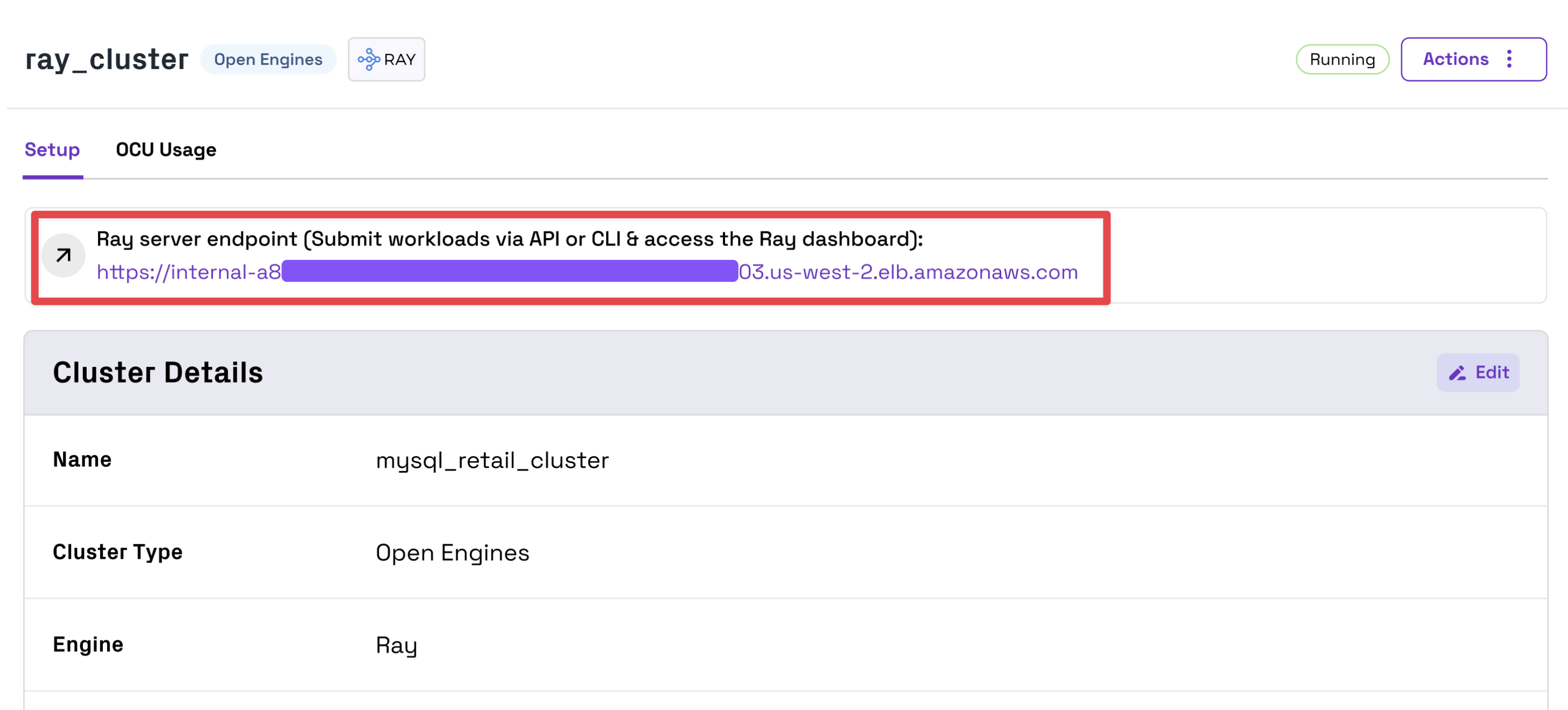 ray-cluster-endpoint